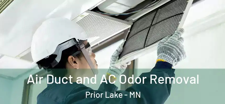 Air Duct and AC Odor Removal Prior Lake - MN