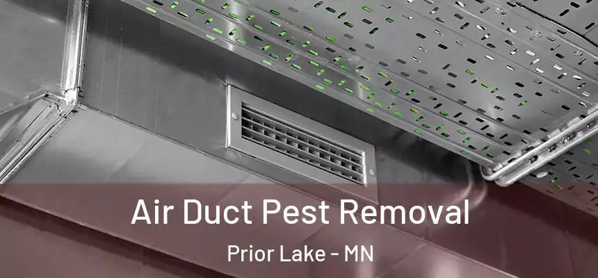 Air Duct Pest Removal Prior Lake - MN