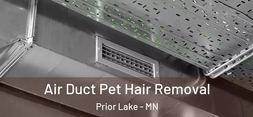 Air Duct Pet Hair Removal Prior Lake - MN