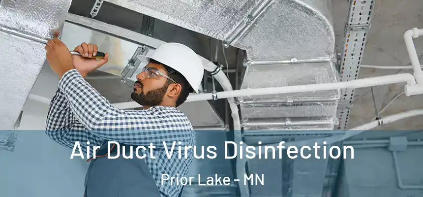 Air Duct Virus Disinfection Prior Lake - MN