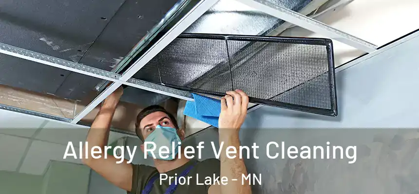 Allergy Relief Vent Cleaning Prior Lake - MN