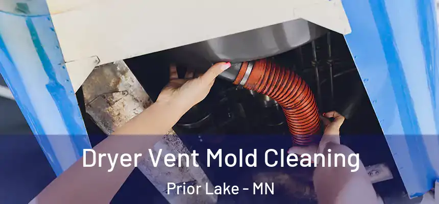  Dryer Vent Mold Cleaning Prior Lake - MN