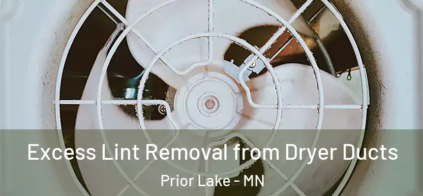 Excess Lint Removal from Dryer Ducts Prior Lake - MN