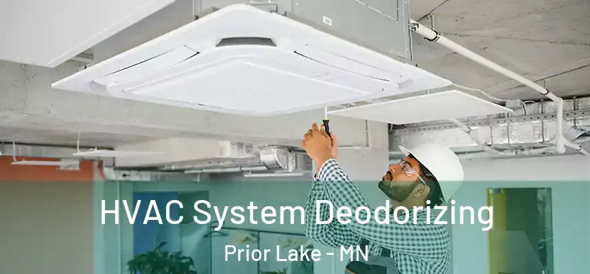  HVAC System Deodorizing Prior Lake - MN