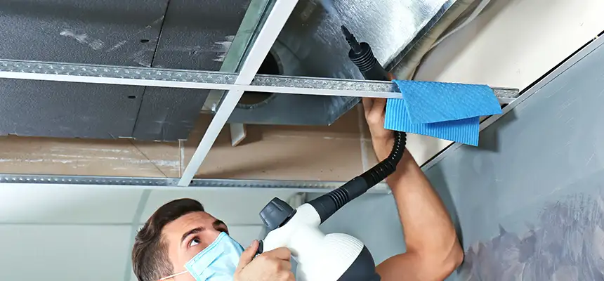 Our Air Duct Rodent Removal Services in Prior Lake, MN