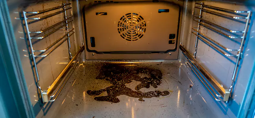 Our Dryer Vent Mold Cleaning Services in Prior Lake, MN