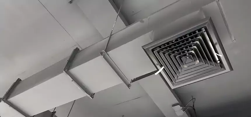 Our Rodent Droppings In Vents Services in Prior Lake, MN