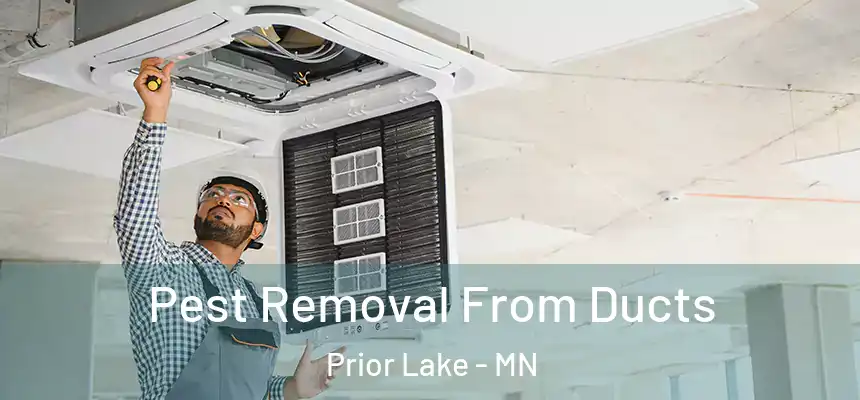 Pest Removal From Ducts Prior Lake - MN