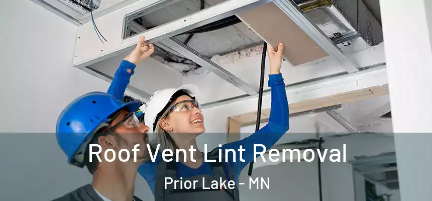 Roof Vent Lint Removal Prior Lake - MN