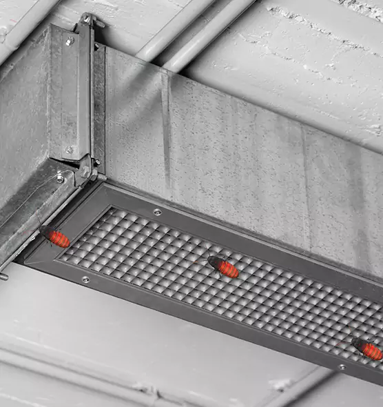 About Air Duct Cockroach Removal in Prior Lake, MN