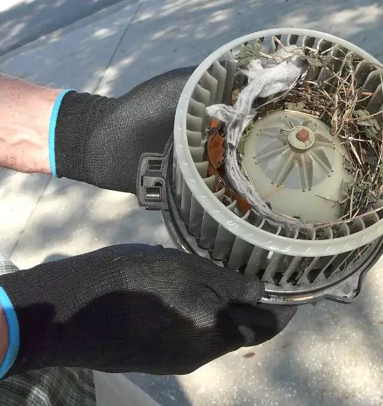 About Air Duct Mice Removal in Prior Lake, MN