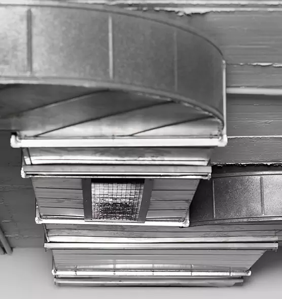 Professional Air Duct Pest Removal in Prior Lake, MN