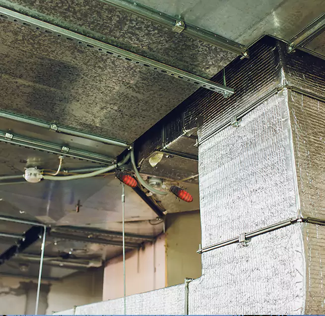 Why Homeowners & Businesses Trust Us in Prior Lake, MN?