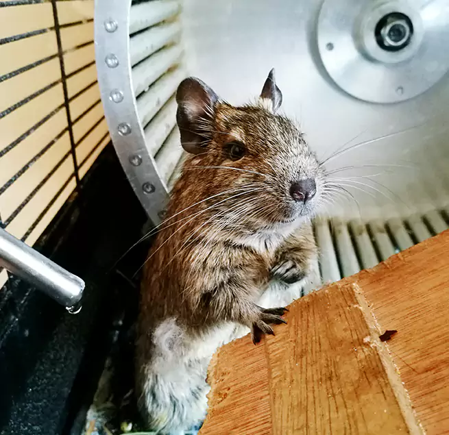 Why Homeowners & Businesses Trust Us Prior Lake, MN